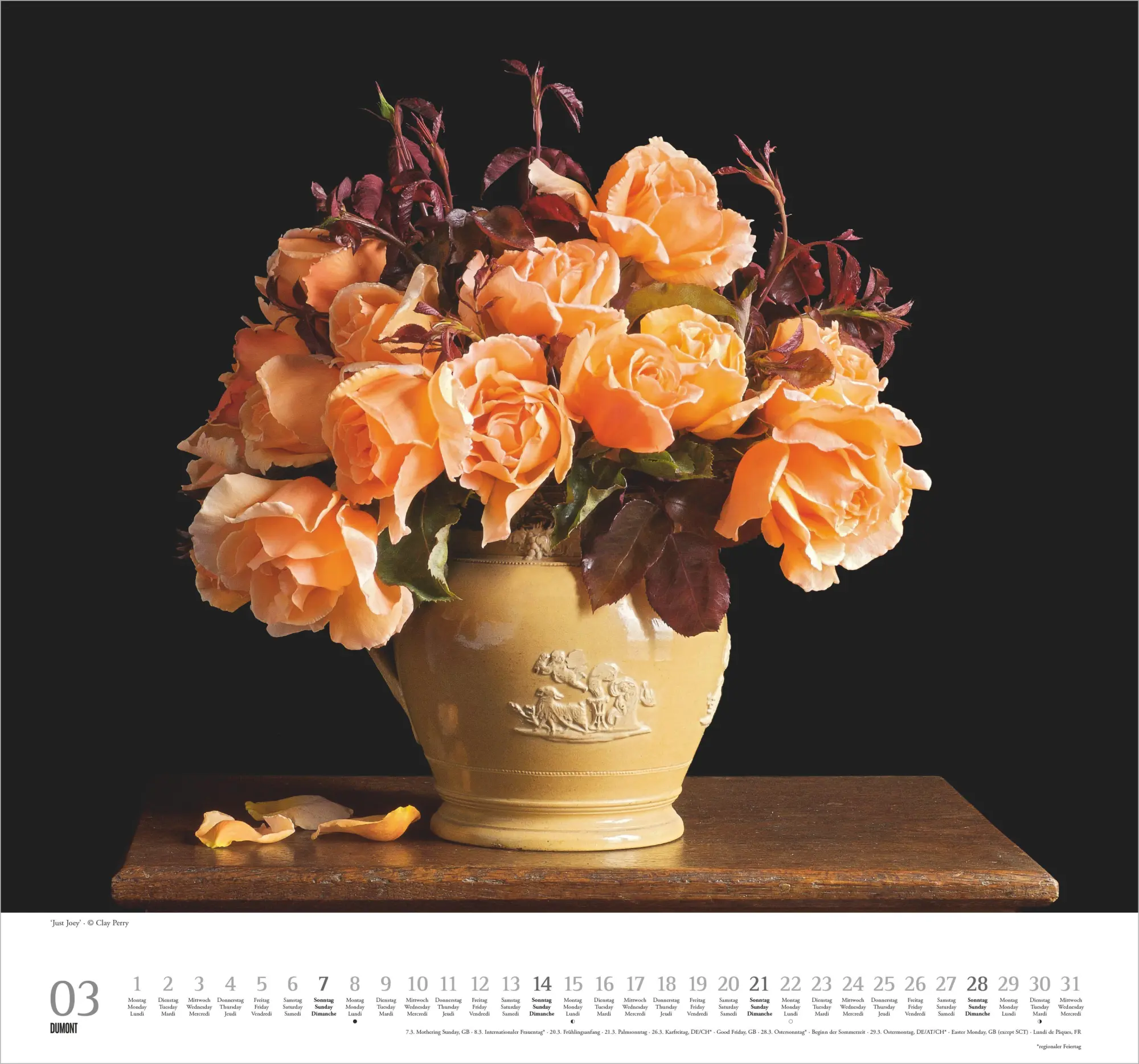 Bild: 4069095011854 | Geliebte Rosen 2027 | Neumann Verlage GmbH &amp; Co KG | Kalender | 14 S.