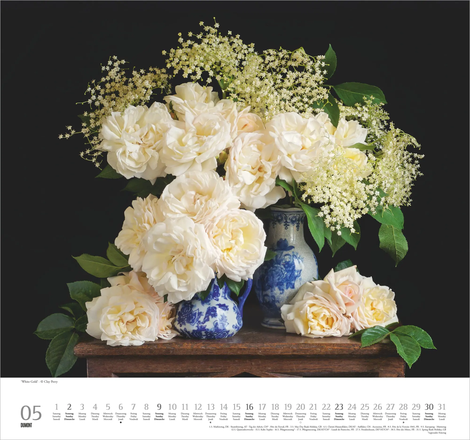 Bild: 4069095011854 | Geliebte Rosen 2027 | Neumann Verlage GmbH &amp; Co KG | Kalender | 14 S.