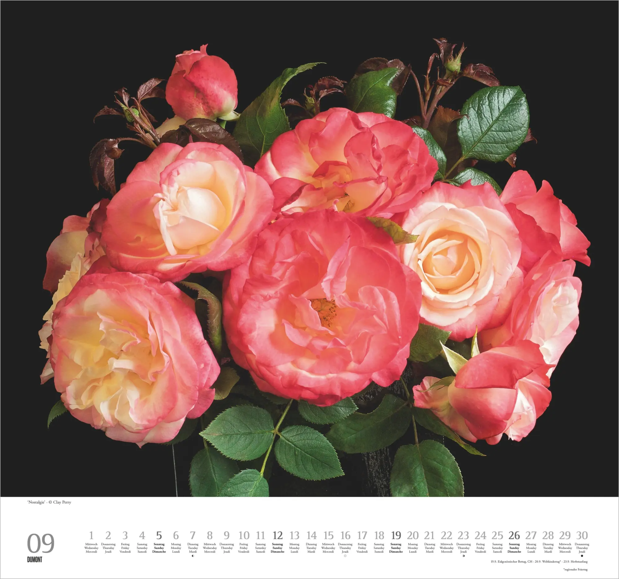 Bild: 4069095011854 | Geliebte Rosen 2027 | Neumann Verlage GmbH &amp; Co KG | Kalender | 14 S.