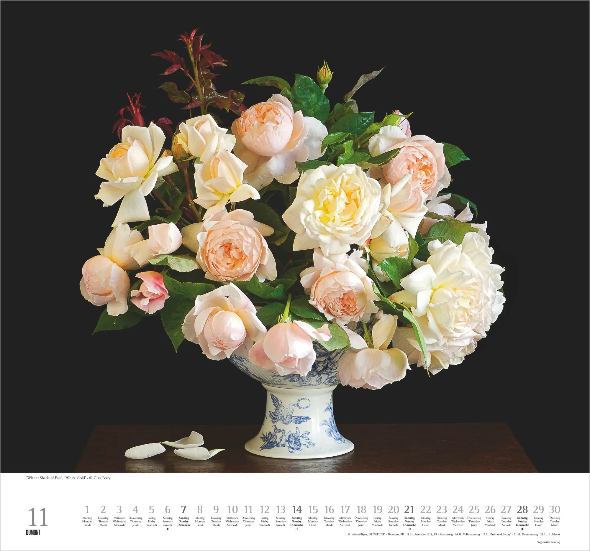 Bild: 4069095011854 | Geliebte Rosen 2027 | Neumann Verlage GmbH &amp; Co KG | Kalender | 14 S.