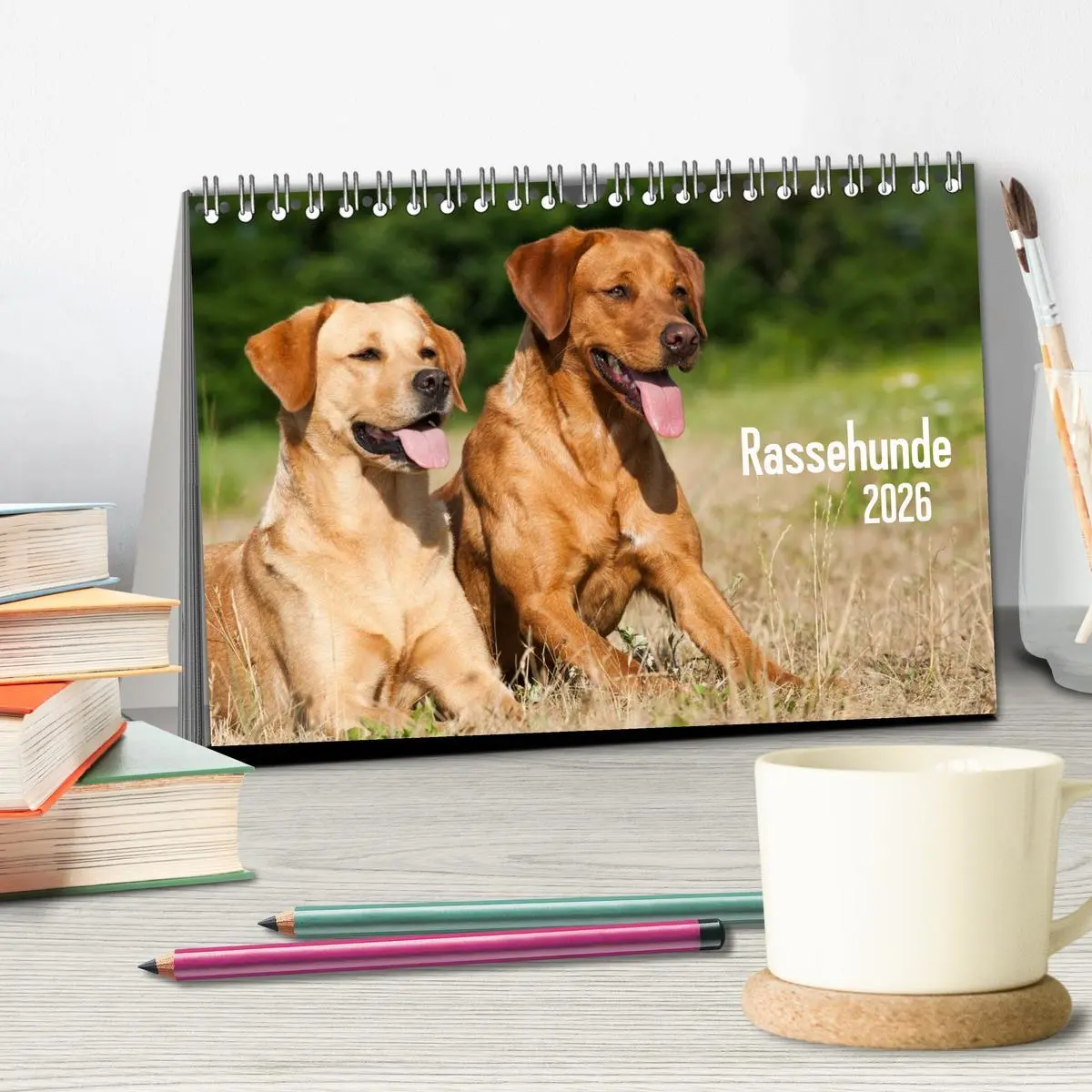Bild: 9783516161854 | Rassehunde (Tischkalender 2026 DIN A5 quer), CALVENDO Monatskalender