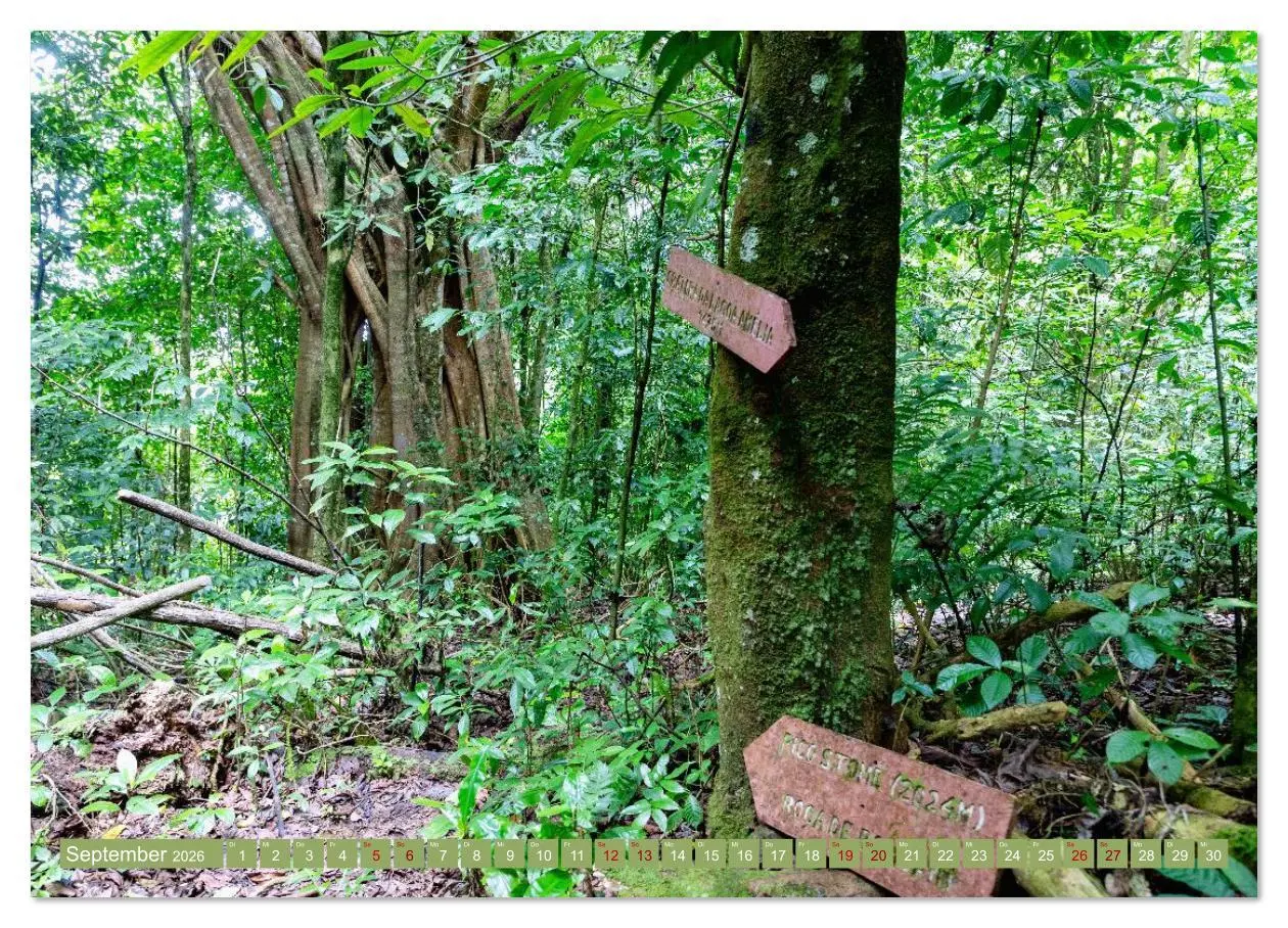 Bild: 9783516611854 | Sao Tome. Paradiesinsel vor der Küste Westafrikas (Wandkalender...
