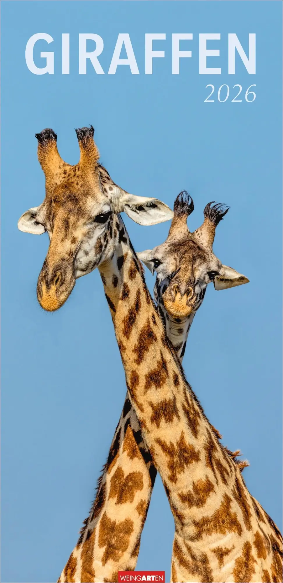 Cover: 9783839901854 | Giraffen Kalender 2026 | Kalender | Spiralbindung | 14 S. | Deutsch