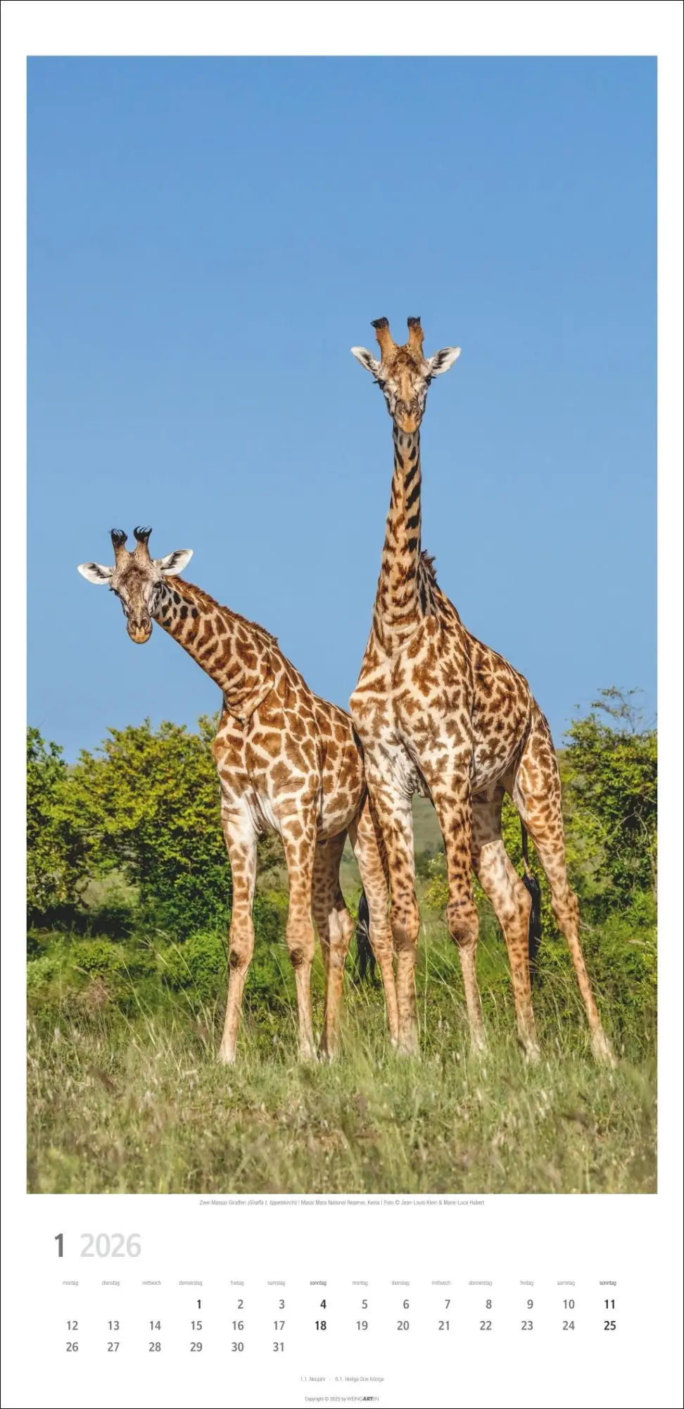 Bild: 9783839901854 | Giraffen Kalender 2026 | Kalender | Spiralbindung | 14 S. | Deutsch