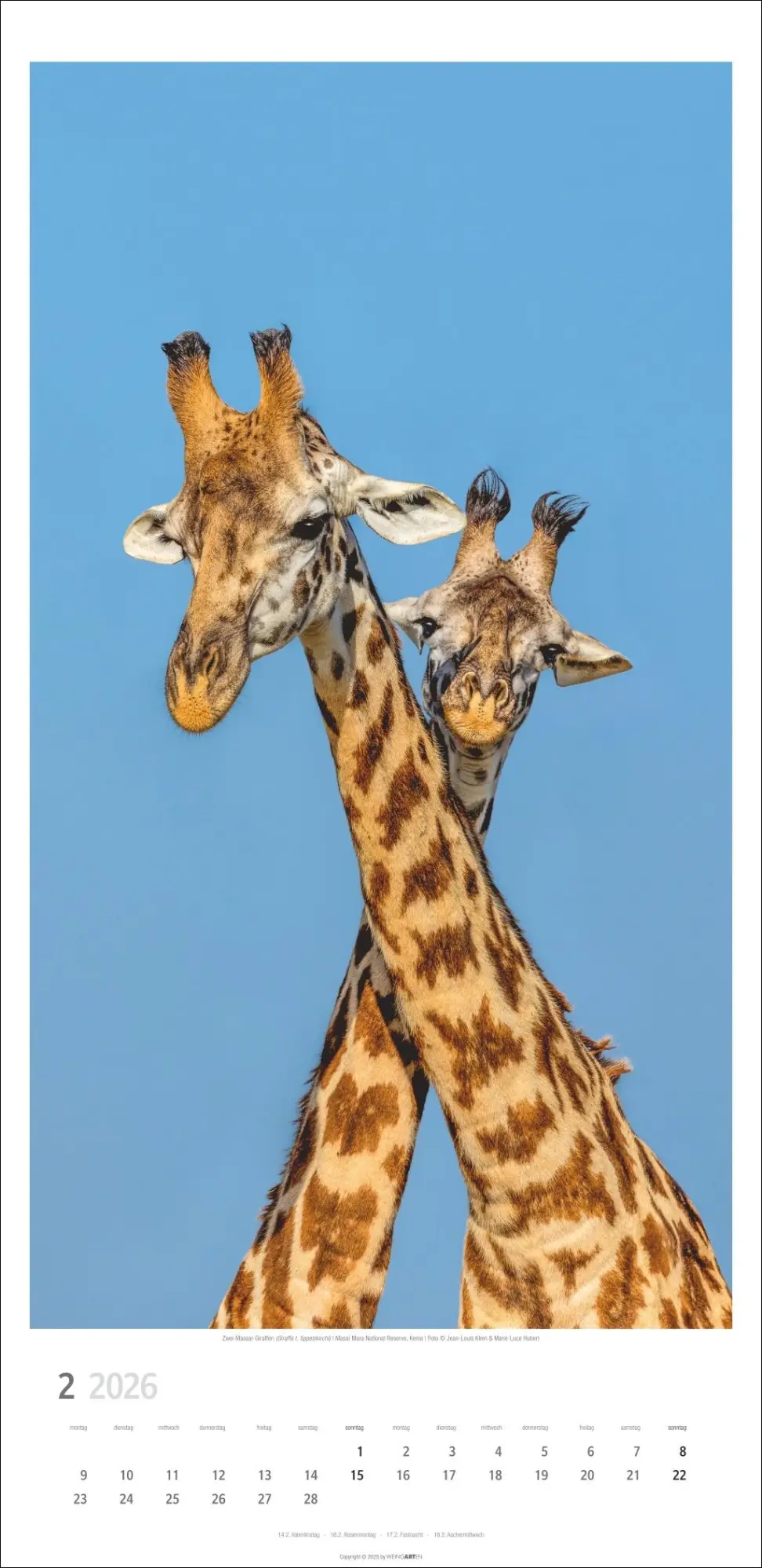 Bild: 9783839901854 | Giraffen Kalender 2026 | Kalender | Spiralbindung | 14 S. | Deutsch