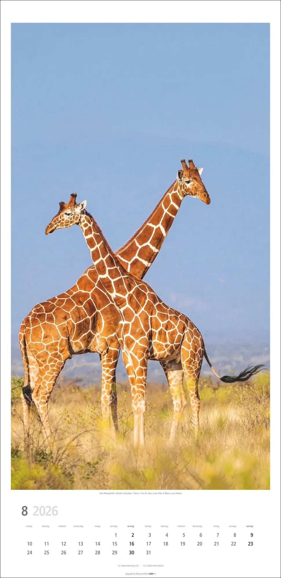 Bild: 9783839901854 | Giraffen Kalender 2026 | Kalender | Spiralbindung | 14 S. | Deutsch