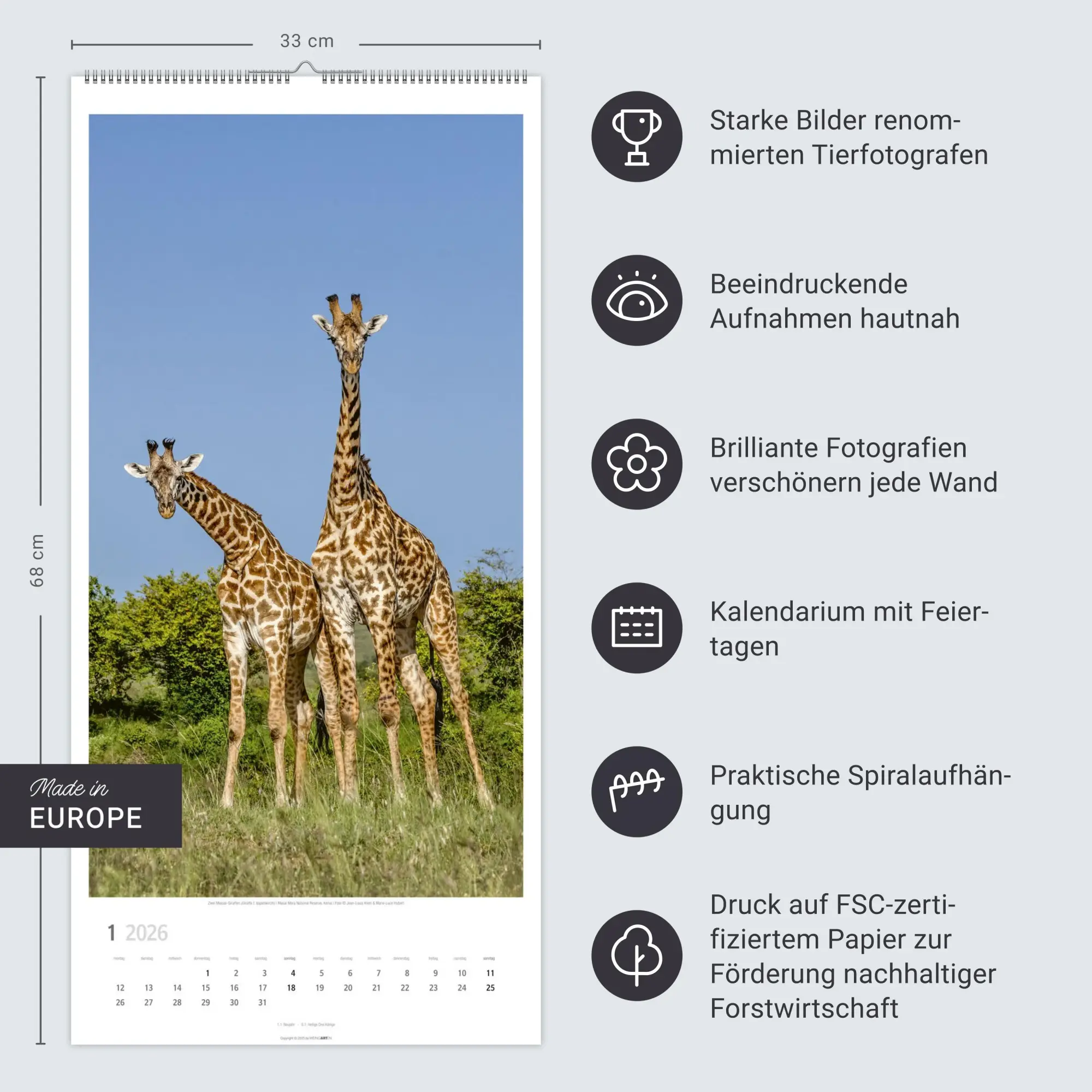 Bild: 9783839901854 | Giraffen Kalender 2026 | Kalender | Spiralbindung | 14 S. | Deutsch