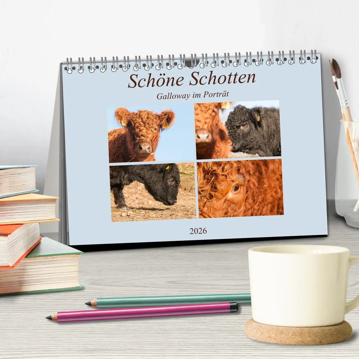 Bild: 9783457751954 | Schöne Schotten - Galloway im Porträt (Tischkalender 2026 DIN A5...