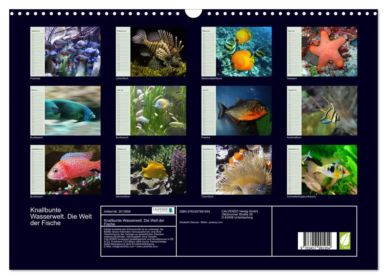 Bild: 9783457991954 | Knallbunte Wasserwelt. Die Welt der Fische (Wandkalender 2026 DIN...