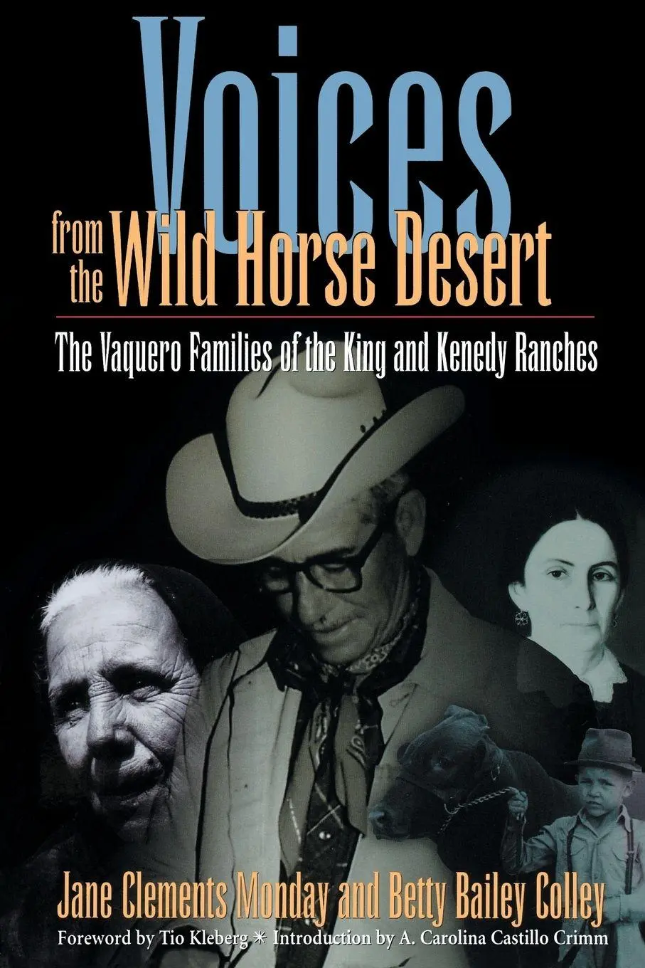 Cover: 9780292752054 | Voices from the Wild Horse Desert | Jane Clements Monday | Taschenbuch