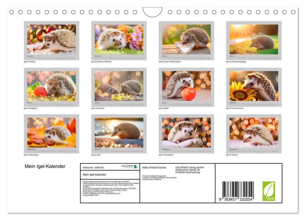 Bild: 9783457332054 | Mein Igel-Kalender (Wandkalender 2026 DIN A4 quer), CALVENDO...
