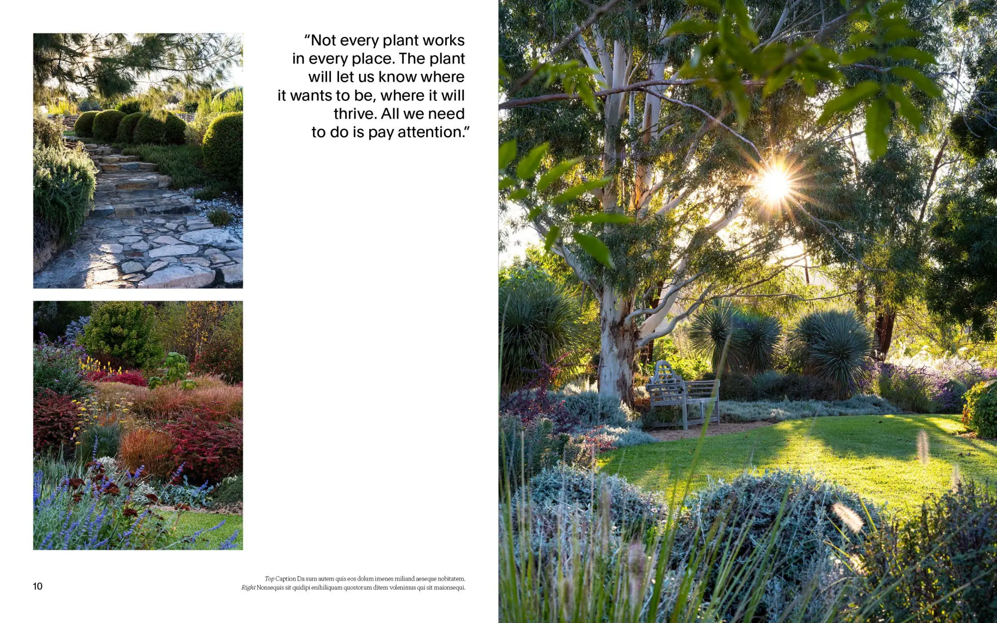 Bild: 9783967042054 | Cottagecore Gardens | A New Take on Living Landscapes | Buch | 256 S.
