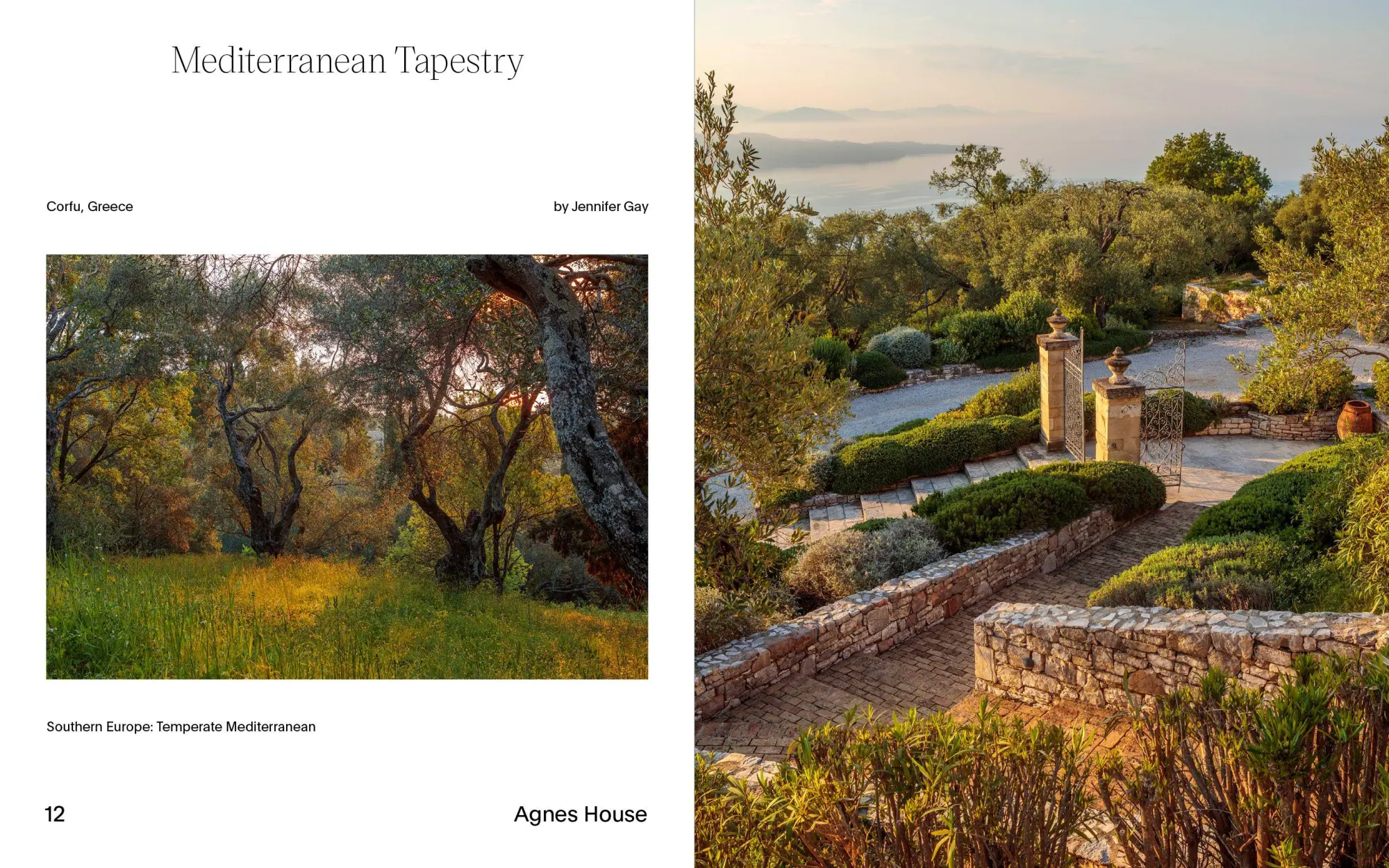 Bild: 9783967042054 | Cottagecore Gardens | A New Take on Living Landscapes | Buch | 256 S.