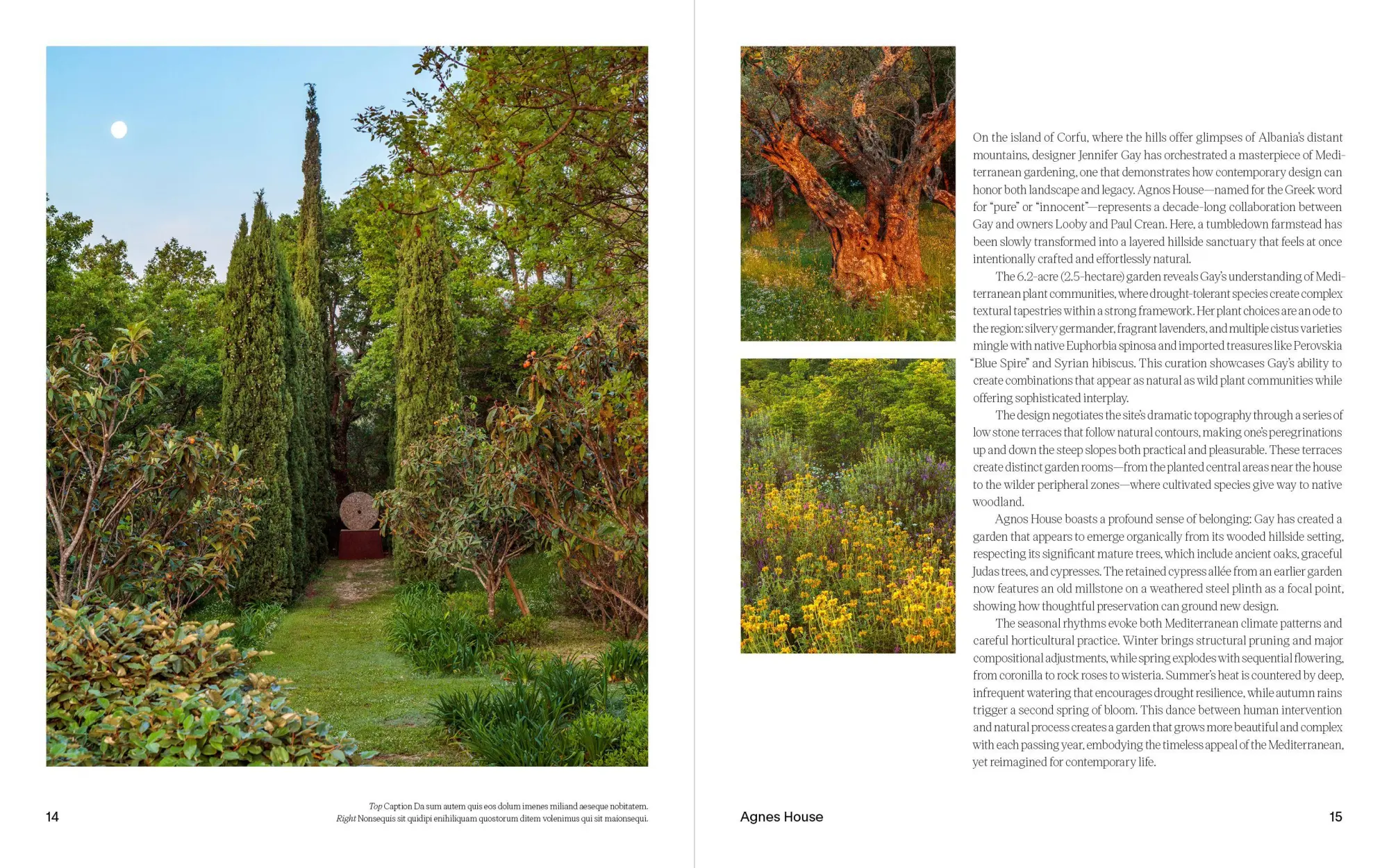 Bild: 9783967042054 | Cottagecore Gardens | A New Take on Living Landscapes | Buch | 256 S.