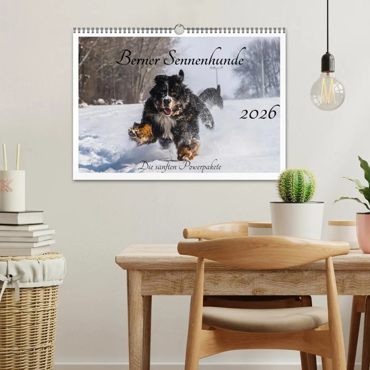Bild: 9783457552254 | Berner Sennenhunde - Die sanften Powerpakete (Wandkalender 2026 DIN...