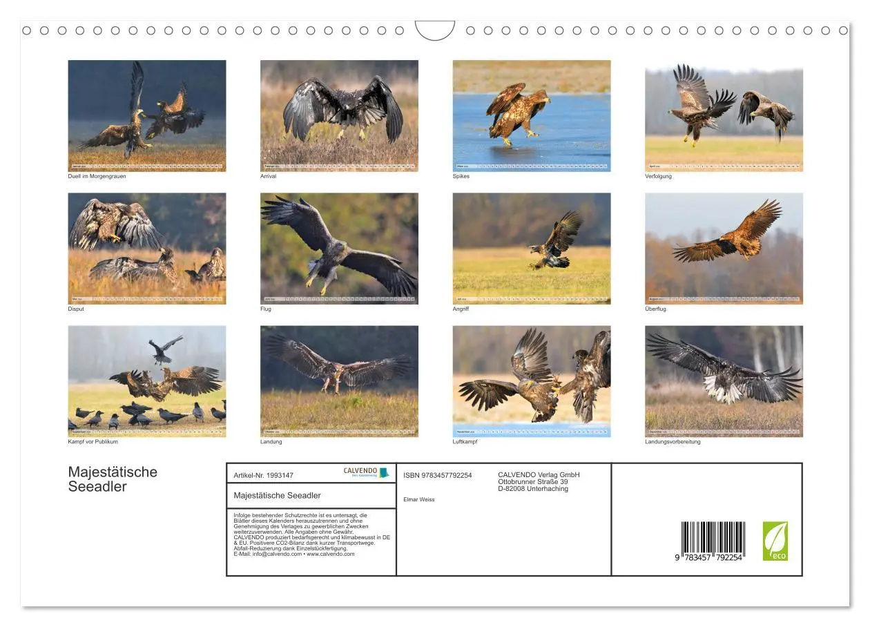 Bild: 9783457792254 | Majestätische Seeadler (Wandkalender 2026 DIN A3 quer), CALVENDO...
