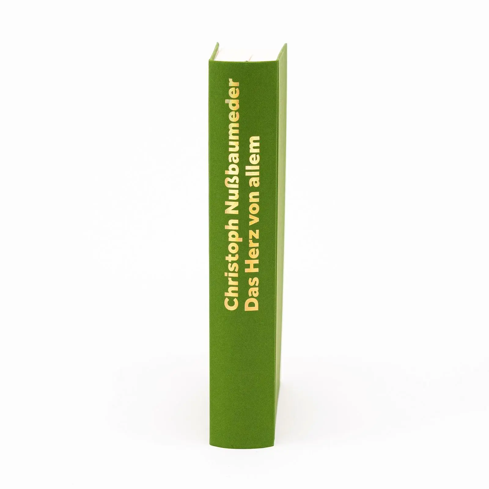 Bild: 9783737102254 | Das Herz von allem | Christoph Nußbaumeder | Buch | 448 S. | Deutsch