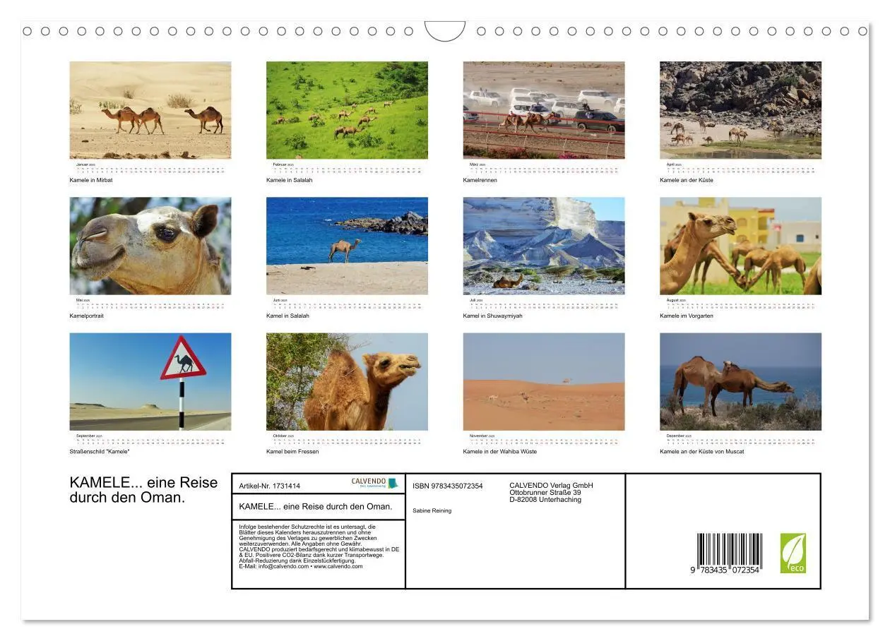 Bild: 9783435072354 | KAMELE... eine Reise durch den Oman. (Wandkalender 2025 DIN A3...