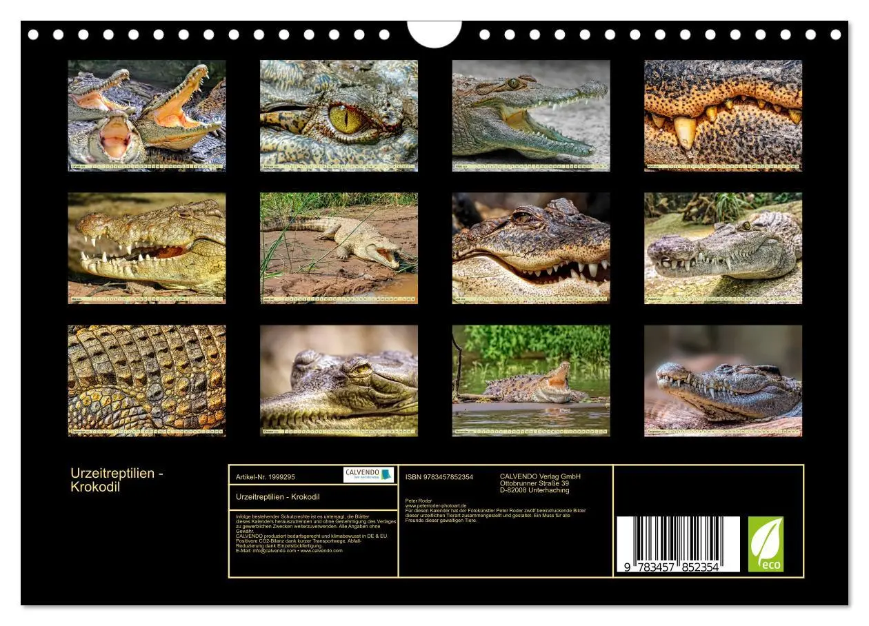 Bild: 9783457852354 | Urzeitreptilien - Krokodil (Wandkalender 2026 DIN A4 quer),...