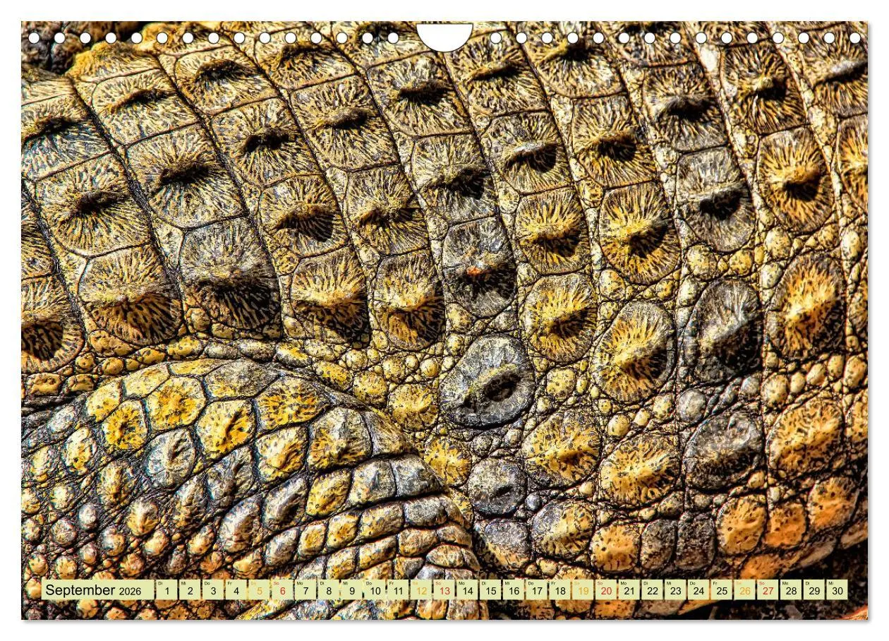 Bild: 9783457852354 | Urzeitreptilien - Krokodil (Wandkalender 2026 DIN A4 quer),...