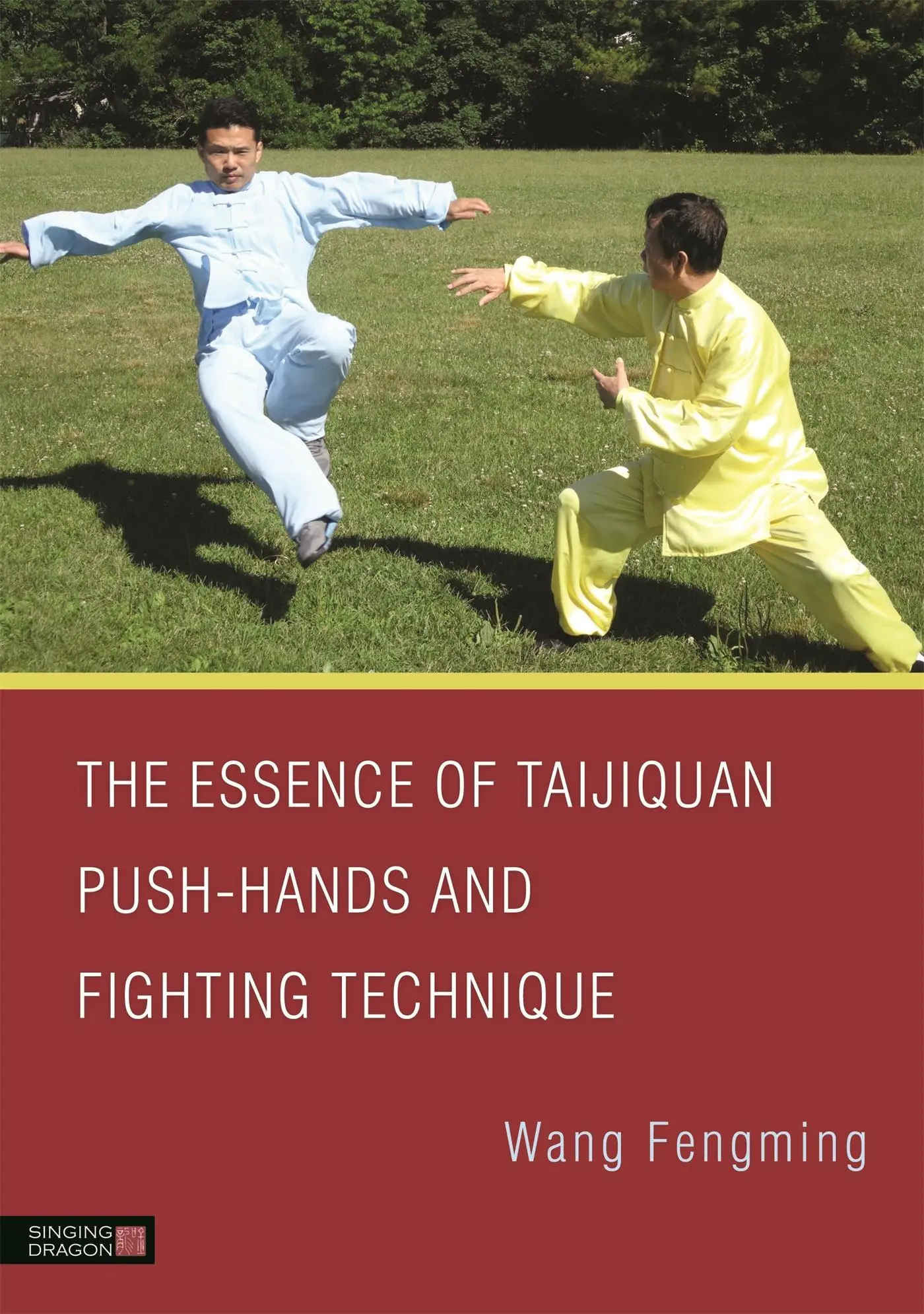 Cover: 9781848192454 | The Essence of Taijiquan Push-Hands and Fighting Technique | Wang