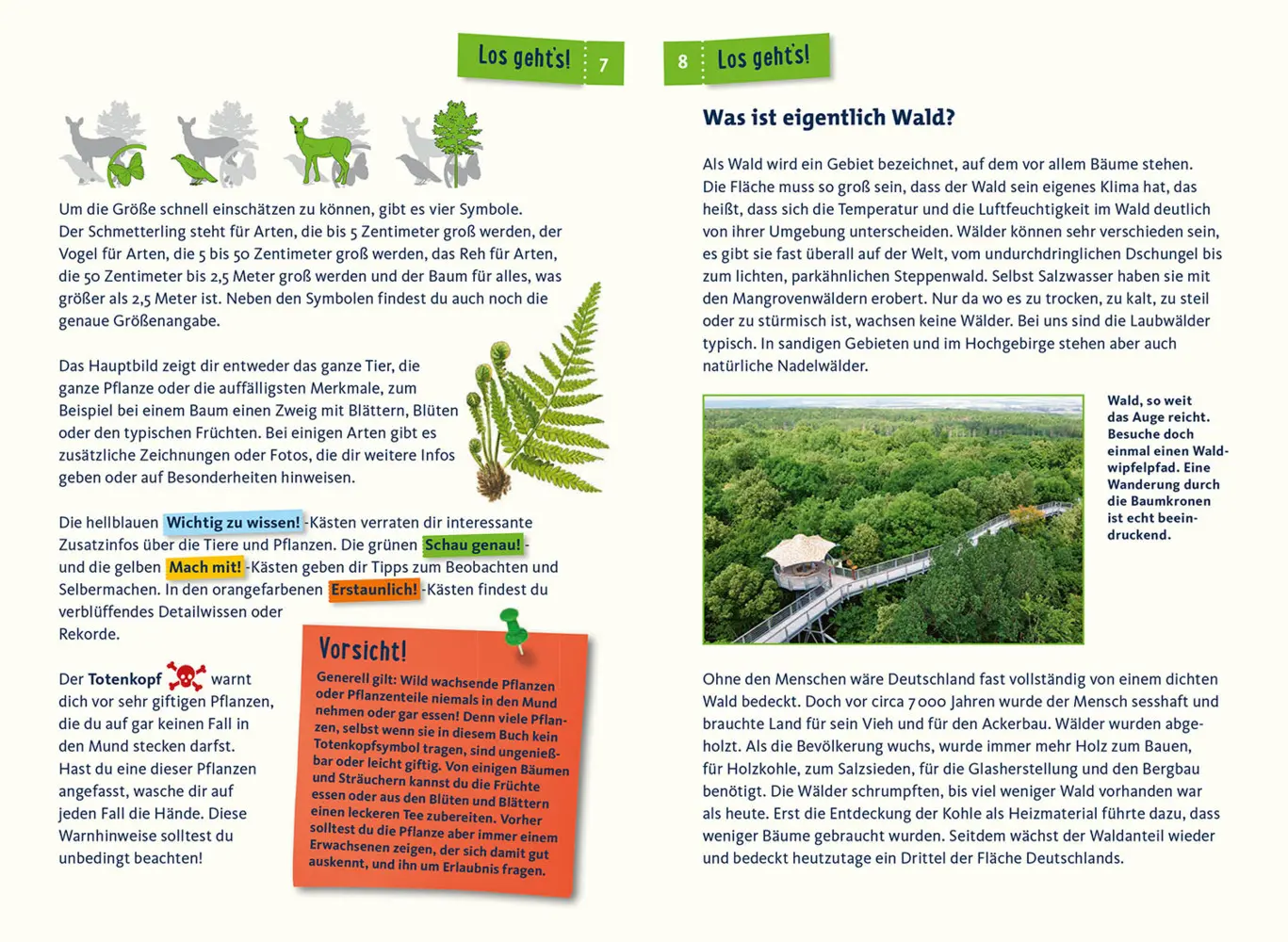 Bild: 9783440152454 | Was lebt im Wald? | 85 heimische Tiere und Pflanzen | Holger Haag