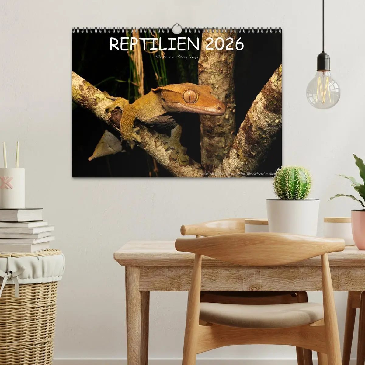 Bild: 9783516172454 | REPTILIEN (Wandkalender 2026 DIN A3 quer), CALVENDO Monatskalender