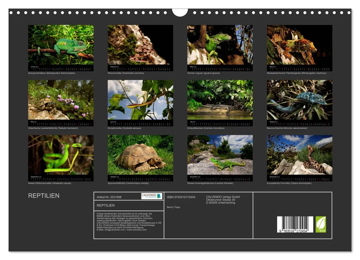 Bild: 9783516172454 | REPTILIEN (Wandkalender 2026 DIN A3 quer), CALVENDO Monatskalender