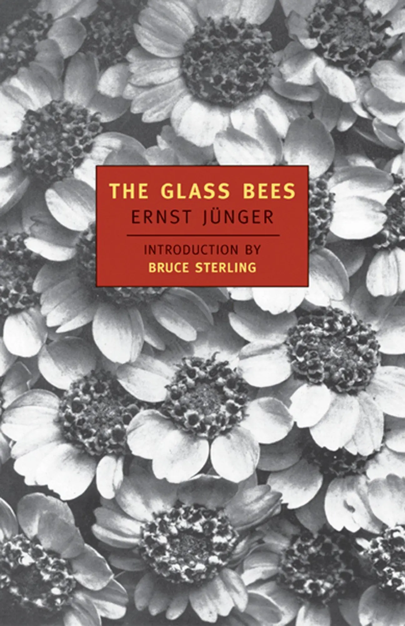 Cover: 9780940322554 | The Glass Bees | Ernst Junger | Taschenbuch | Englisch | 2000
