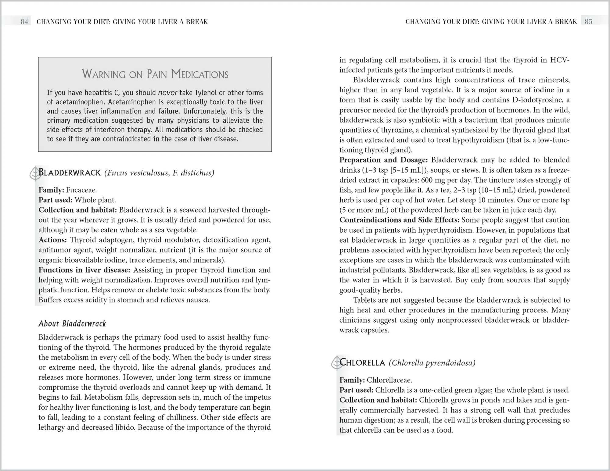 Bild: 9781580172554 | Herbs for Hepatitis C and the Liver | Stephen Harrod Buhner | Buch