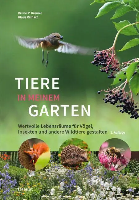 Cover: 9783258082554 | Tiere in meinem Garten | Bruno P. Kremer (u. a.) | Buch | 288 S.