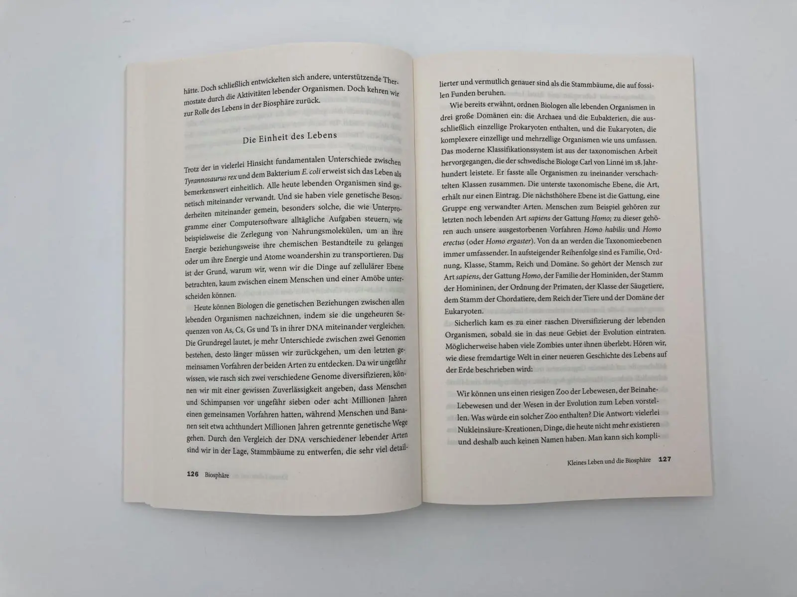 Bild: 9783492242554 | Big History | David Christian | Taschenbuch | 384 S. | Deutsch | 2020