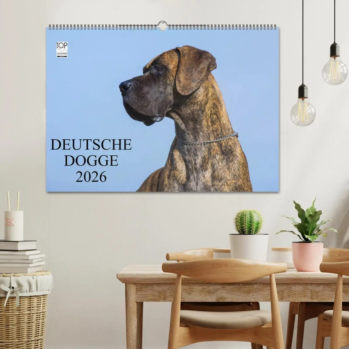 Bild: 9783516162554 | Deutsche Dogge 2026 (Wandkalender 2026 DIN A2 quer), CALVENDO...