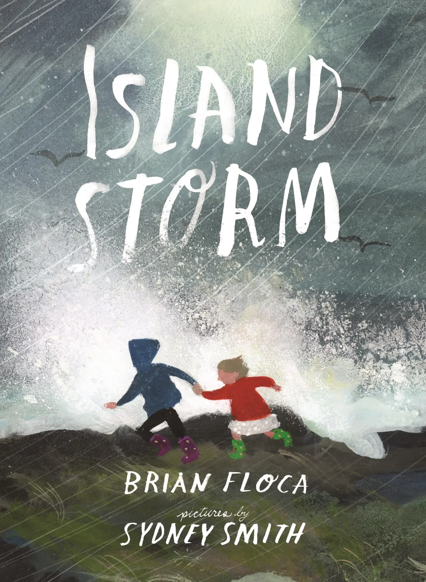 Cover: 9781529532654 | Island Storm | Brian Floca | Buch | Englisch | 2025 | Walker Books Ltd