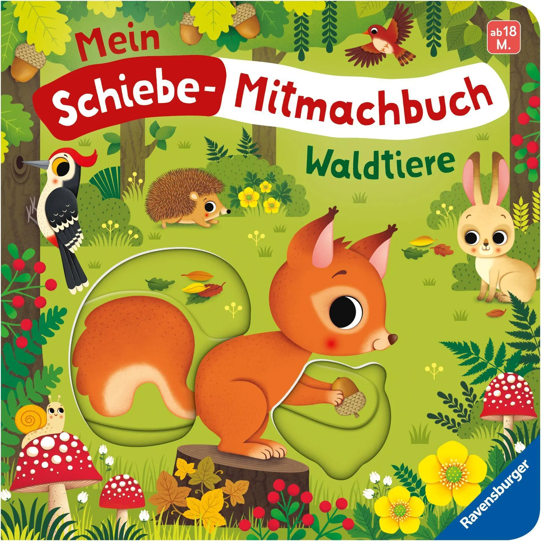 Cover: 9783473422654 | Mein Schiebe-Mitmachbuch - Waldtiere | Bernd Penners | Buch | 12 S.