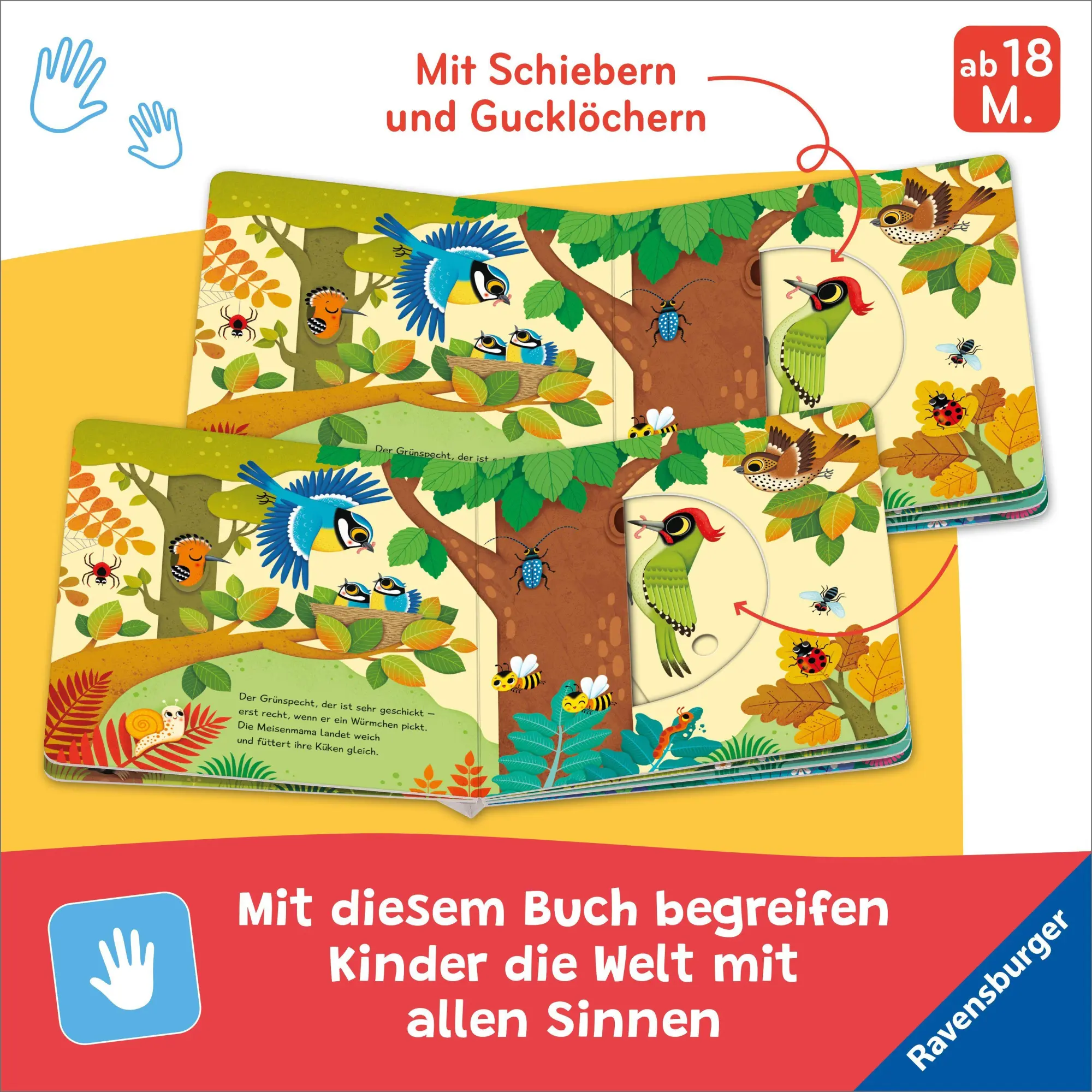 Bild: 9783473422654 | Mein Schiebe-Mitmachbuch - Waldtiere | Bernd Penners | Buch | 12 S.