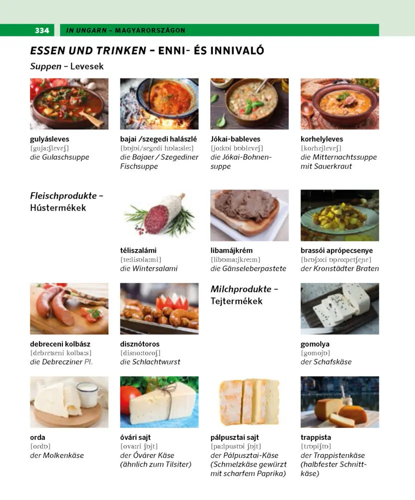 Bild: 9783125162754 | PONS Bildwörterbuch Ungarisch | Taschenbuch | PONS Bildwörterbuch