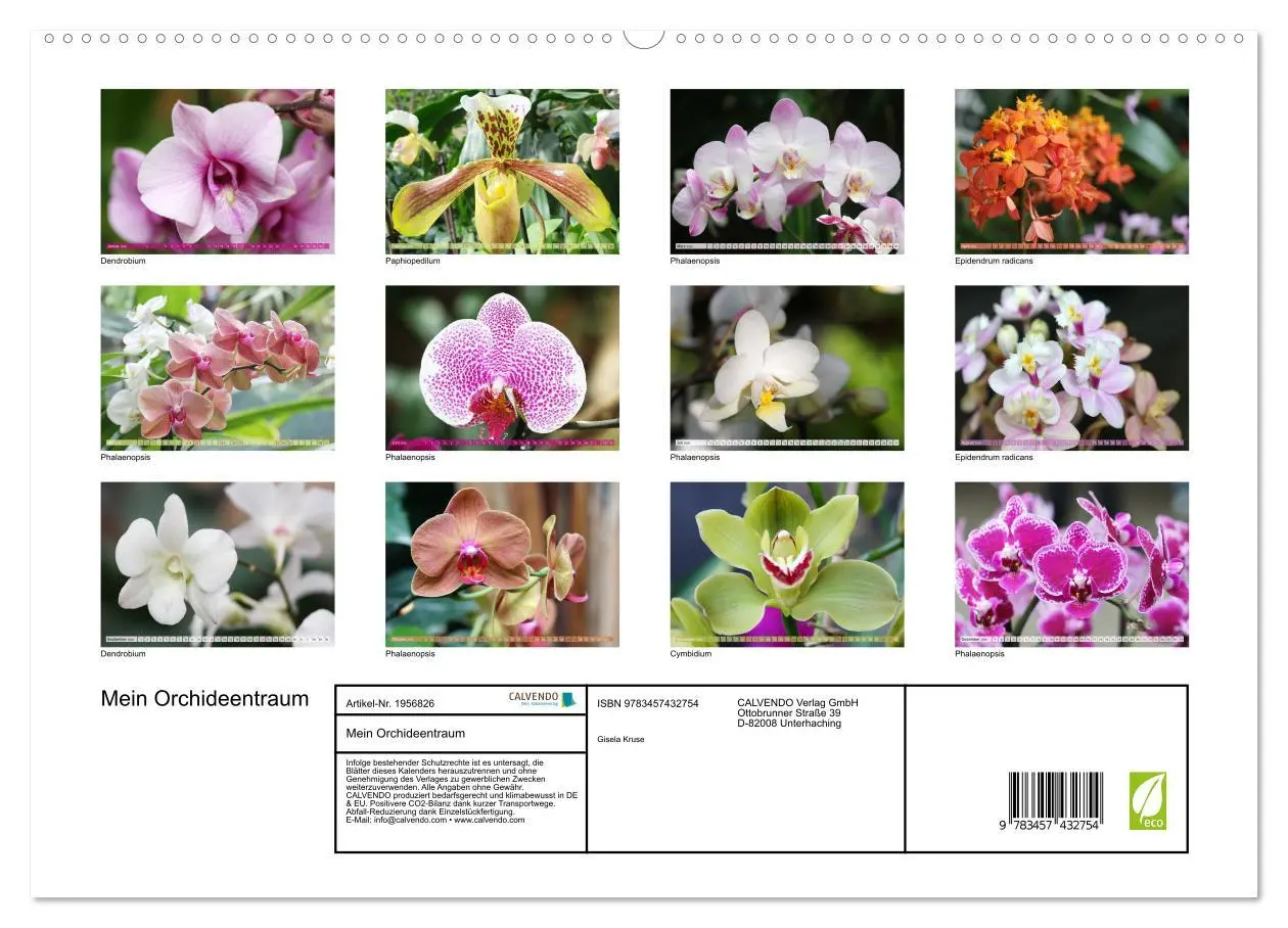 Bild: 9783457432754 | Mein Orchideentraum (hochwertiger Premium Wandkalender 2026 DIN A2...