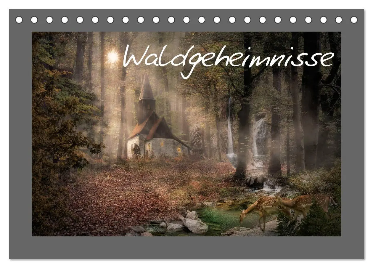 Cover: 9783457812754 | Waldgeheimnisse (Tischkalender 2026 DIN A5 quer), CALVENDO...