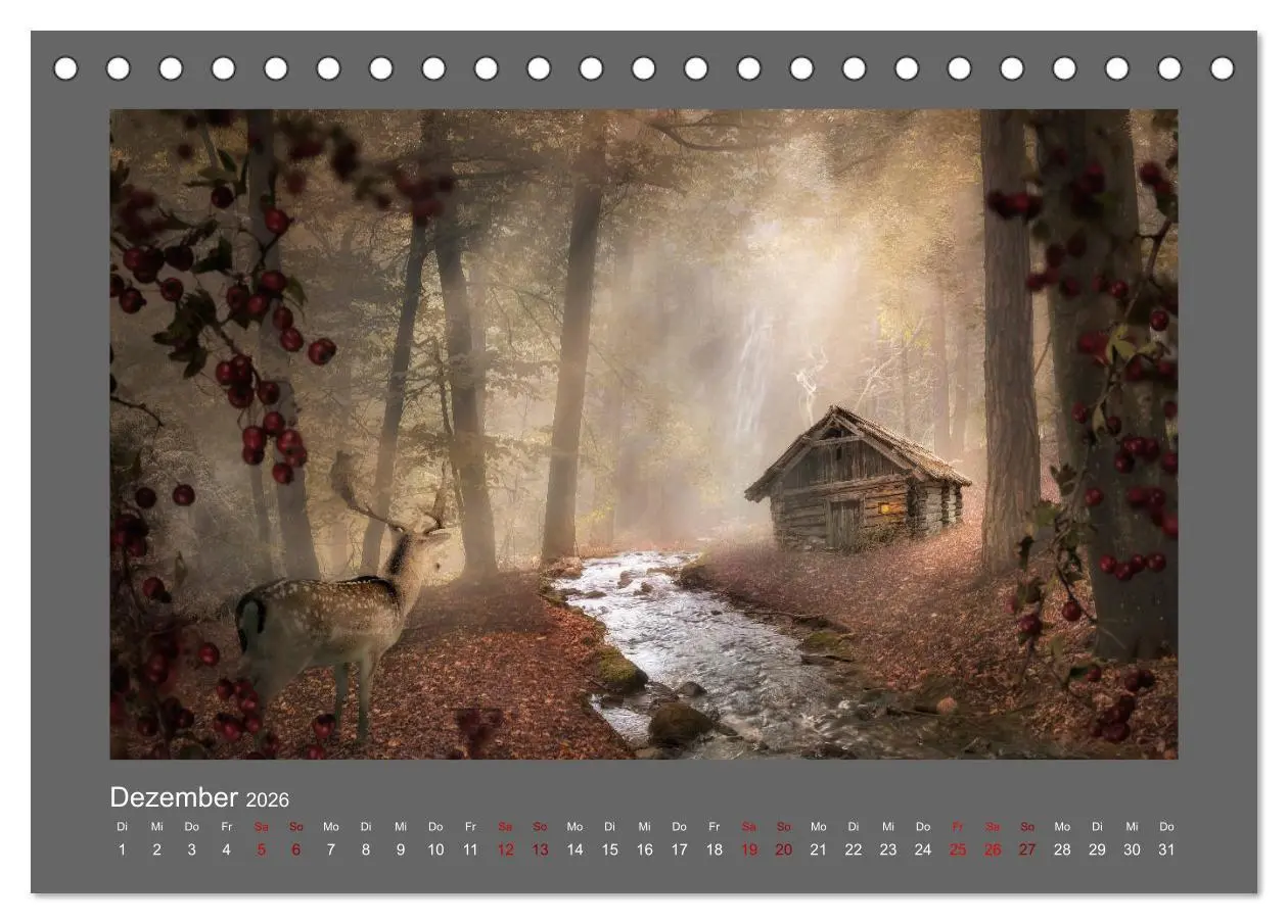 Bild: 9783457812754 | Waldgeheimnisse (Tischkalender 2026 DIN A5 quer), CALVENDO...
