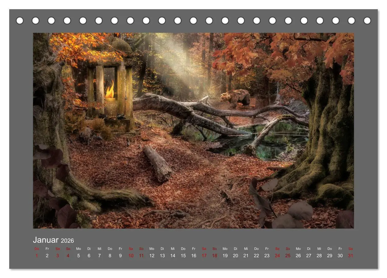 Bild: 9783457812754 | Waldgeheimnisse (Tischkalender 2026 DIN A5 quer), CALVENDO...