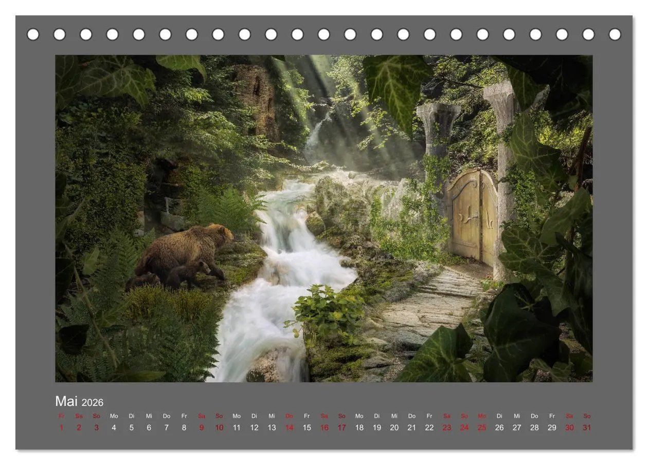 Bild: 9783457812754 | Waldgeheimnisse (Tischkalender 2026 DIN A5 quer), CALVENDO...