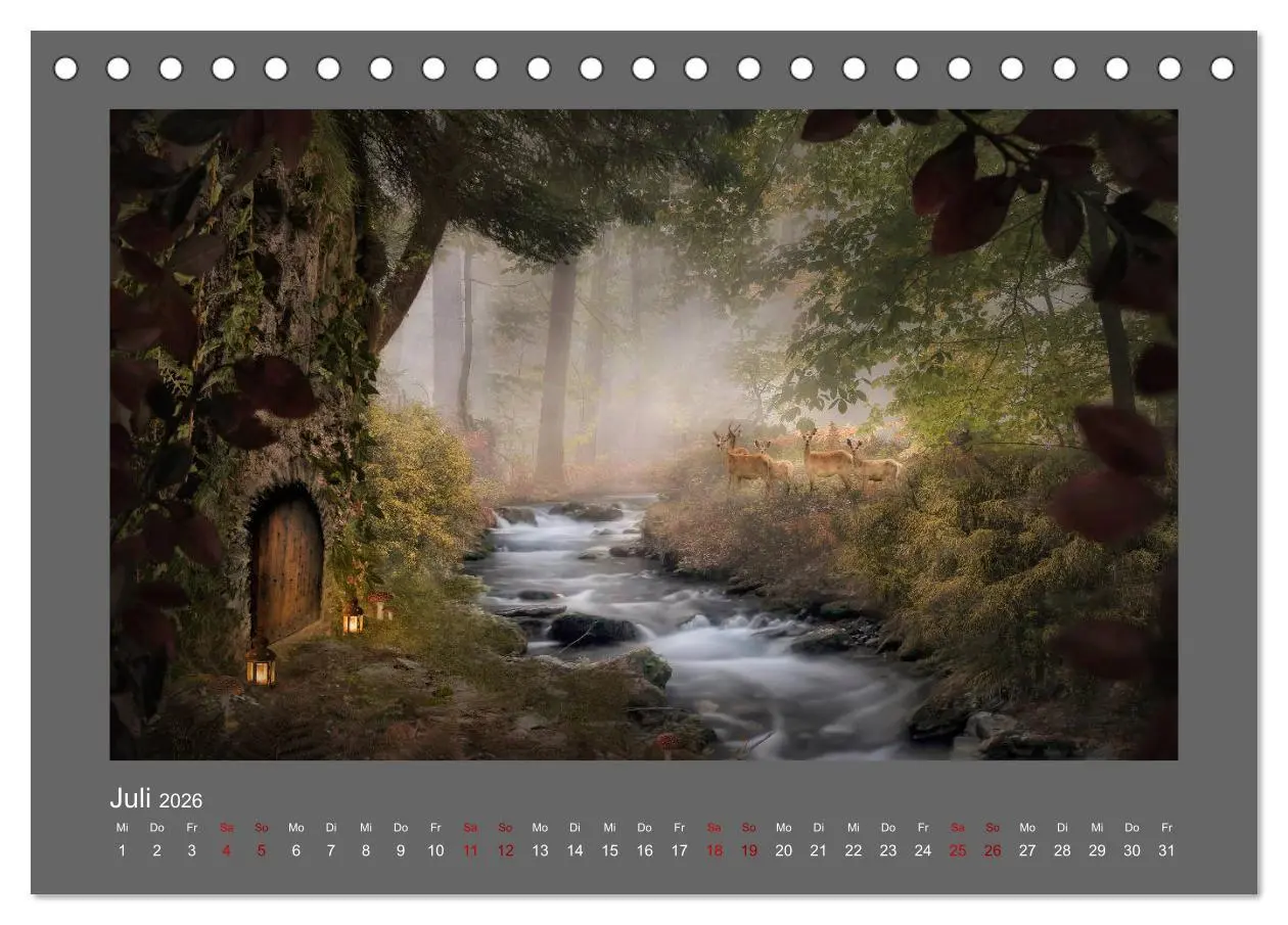 Bild: 9783457812754 | Waldgeheimnisse (Tischkalender 2026 DIN A5 quer), CALVENDO...