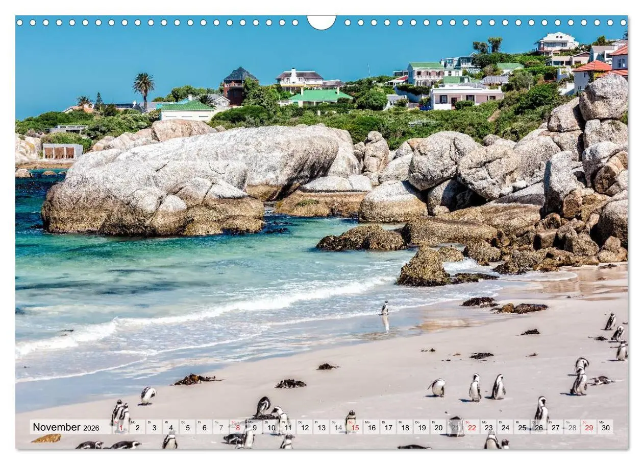 Bild: 9783516212754 | Westkap Südafrika (Wandkalender 2026 DIN A3 quer), CALVENDO...