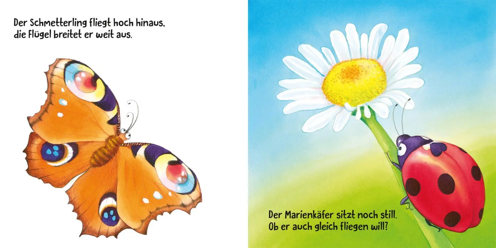 Bild: 9783551172754 | Meine lieben Tiere | Florian Ahle | Buch | 16 S. | Deutsch | 2023