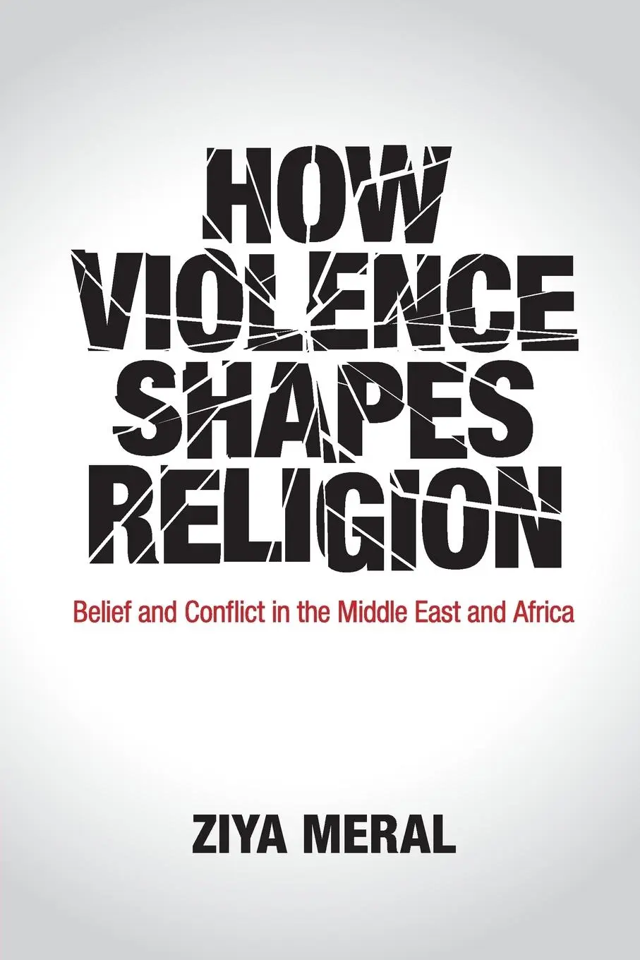 Cover: 9781108452854 | How Violence Shapes Religion | Ziya Meral | Taschenbuch | Englisch