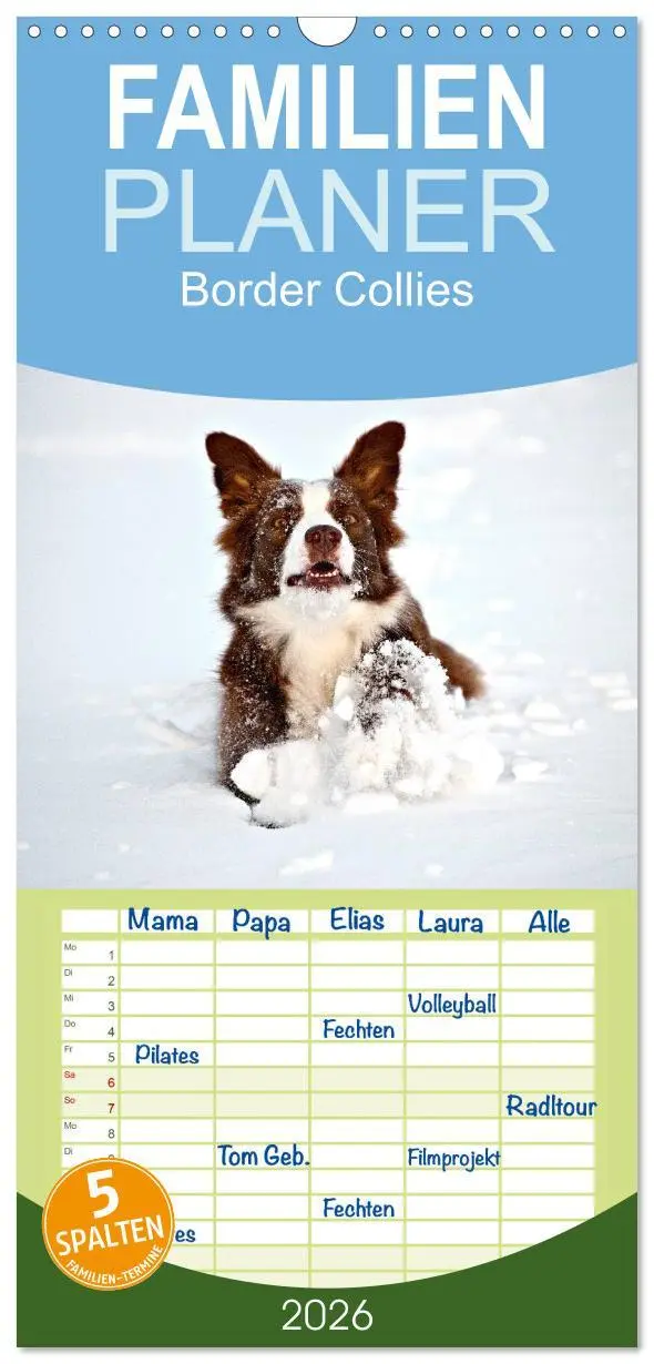 Cover: 9783516512854 | Familienplaner 2026 - Border Collies mit 5 Spalten (Wandkalender,...