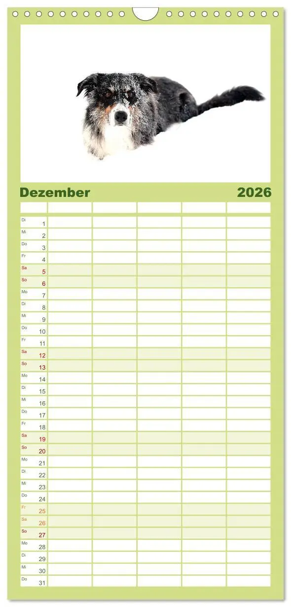 Bild: 9783516512854 | Familienplaner 2026 - Border Collies mit 5 Spalten (Wandkalender,...