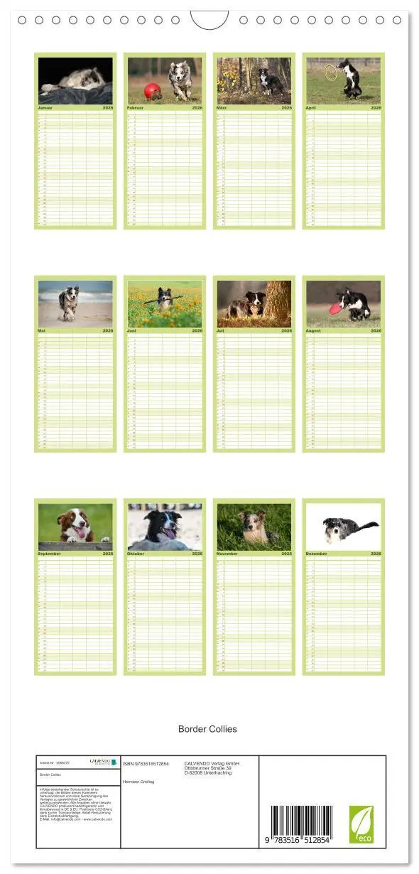 Bild: 9783516512854 | Familienplaner 2026 - Border Collies mit 5 Spalten (Wandkalender,...