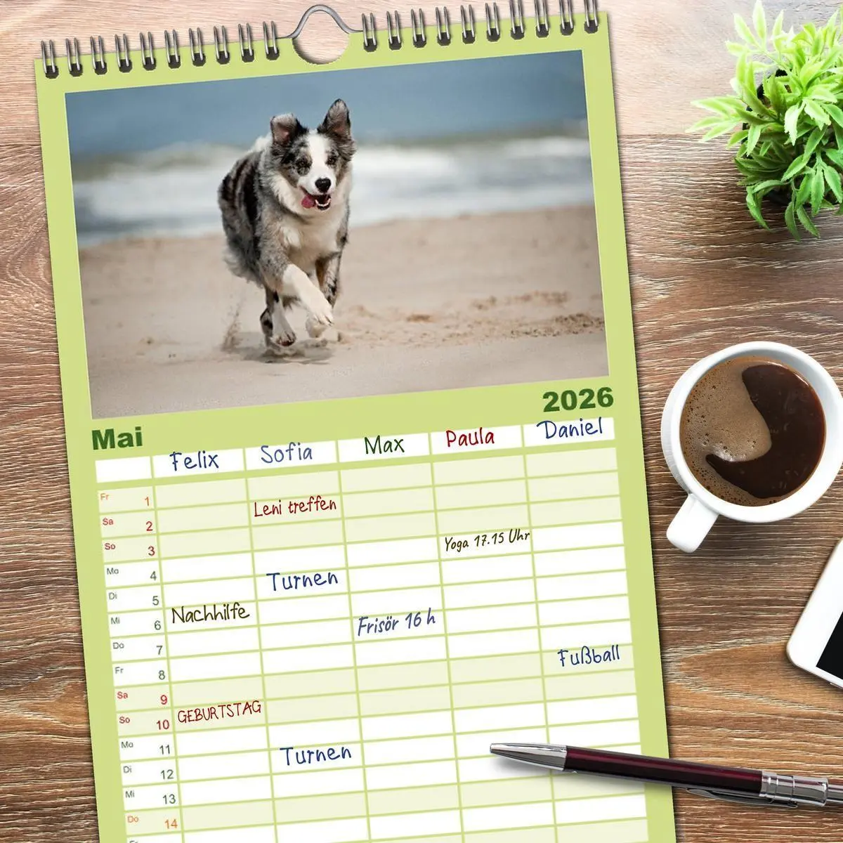Bild: 9783516512854 | Familienplaner 2026 - Border Collies mit 5 Spalten (Wandkalender,...